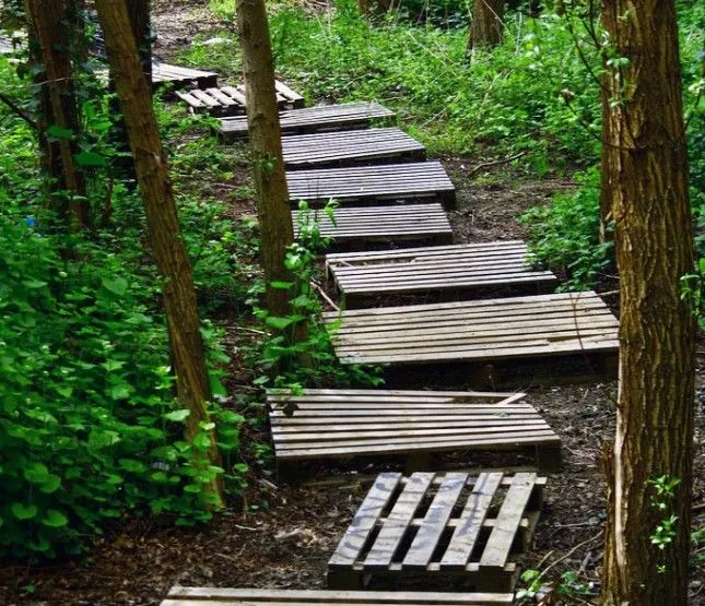A staircase-like path made of wooden pallets laid across a dirt trail through a green forest, surrounded by trees and undergrowth