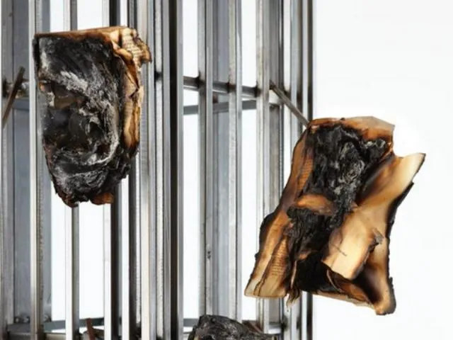 Close-up of charred, burnt wood or material fragments hanging on metal rod frames against a plain background, dark and textured